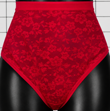 CURVY COUTURE LADIES HI-CUT BRIEF PANTIES STYLE CC7-HC