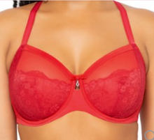 CURVY COUTURE LADIES UNDERWIRE & SOFT CUP BRAS STYLE RCC200