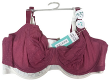 DORINA LADIES BRAS STYLE D5/2