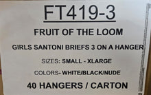 FRUIT OF THE LOOM GIRLS SANTONI BRIEFS STYLE FT419-3